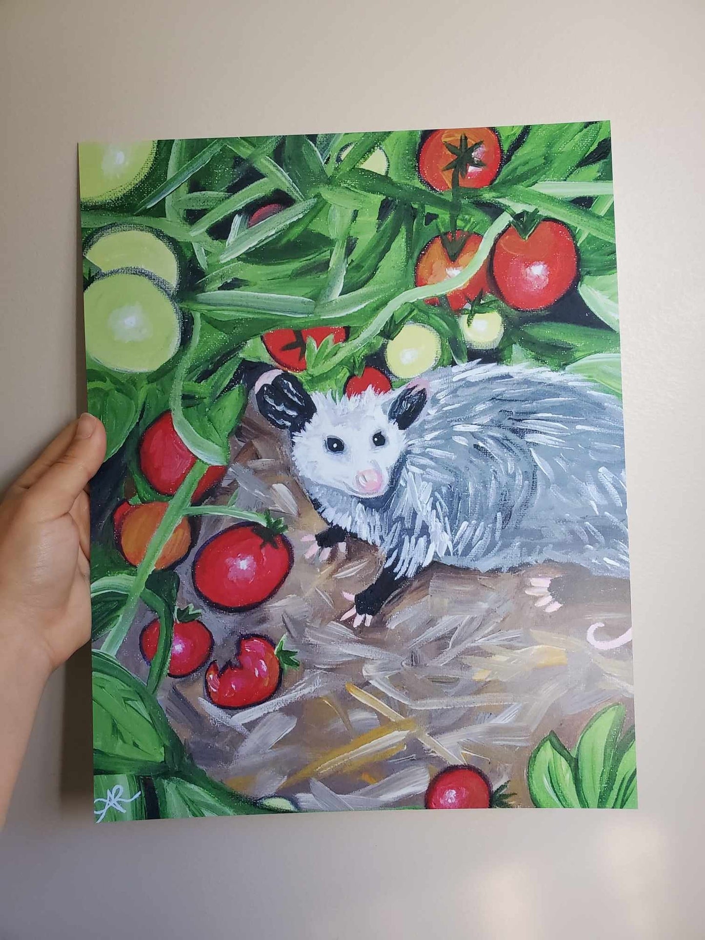 Tomato Tomato, Opossum [11x14 Art Print, Gloss]