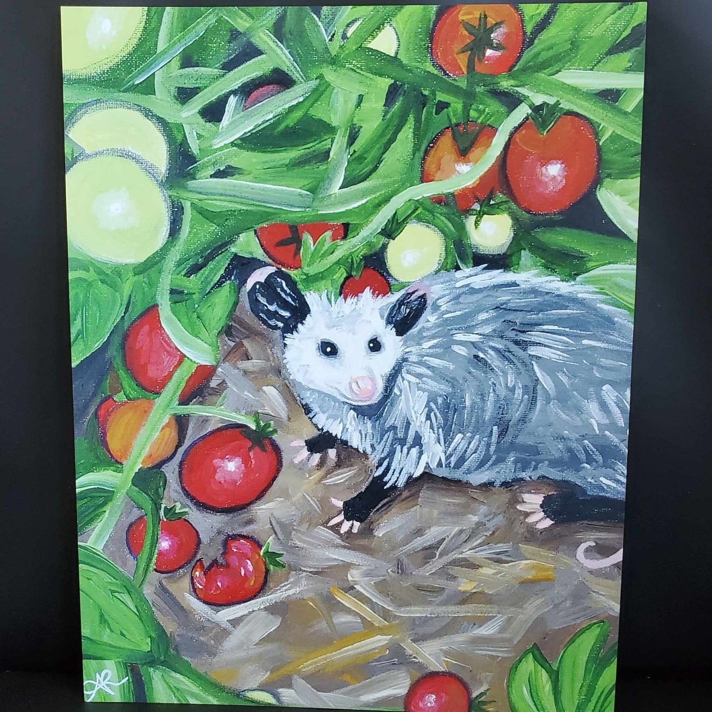 Tomato Tomato, Opossum [11x14 Art Print, Gloss]